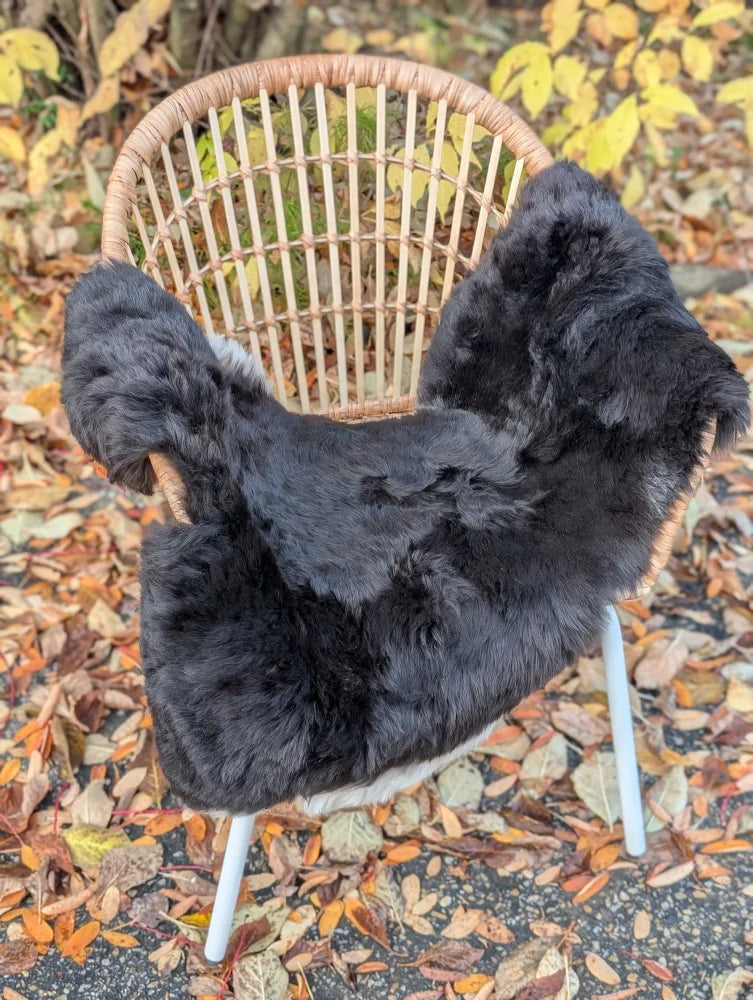 Black short wool icelandic sheepskin chair cover with dark edges draped over a wicker chair for cozy seating
