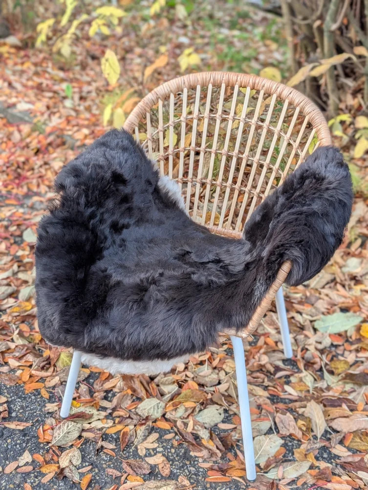 Black wool icelandic sheepskin chair cover with dark edges draped over wicker chair with white metal legs