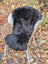 Black and white wool icelandic sheepskin chair cover with plush curly texture and dark edges for cozy seating
