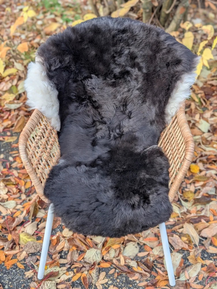 Black ice67 43 x 28 wool icelandic sheepskin chair cover with white fur trim and dark edges
