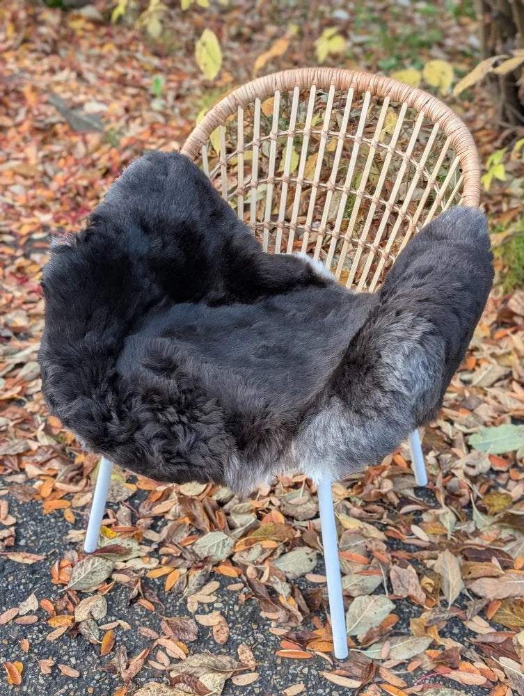 Black wool icelandic sheepskin chair cover with dark edges draped over a wicker chair with white legs