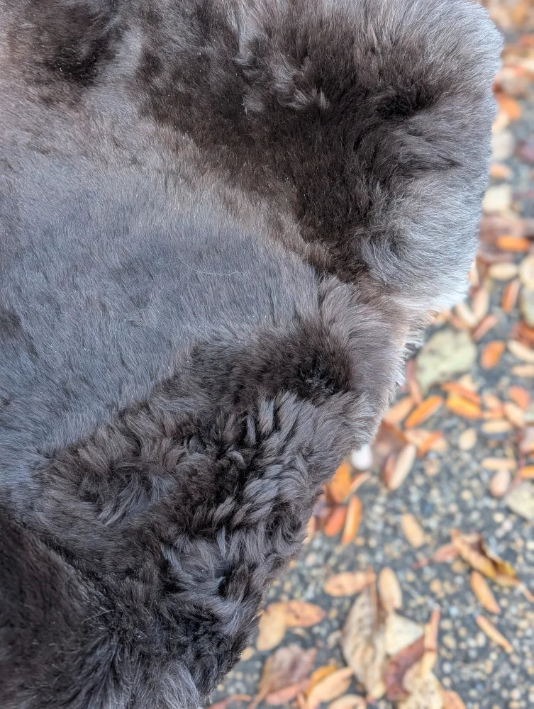 Back side of ice68 wool icelandic sheepskin rug showing dark gray curly fur and dark edges tail detail