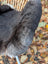 A fluffy black and gray dog ear with soft dense fur on the dark edges of a wool icelandic sheepskin rug
