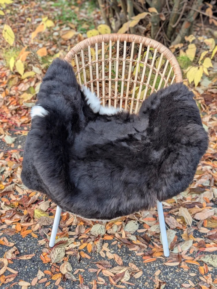 Black wool icelandic sheepskin chair cover with white fur trim and dark edges for cozy seating comfort