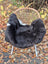 Black wool icelandic sheepskin chair cover with white fur trim and dark edges for cozy seating comfort