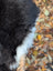 A fluffy black and white dog’s tail wrapped around a woven wicker handle on a wool icelandic sheepskin rug with dark edges