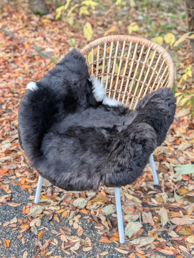 Black and white wool icelandic sheepskin with dark edges draped over wicker chair with metal legs ice69 rug