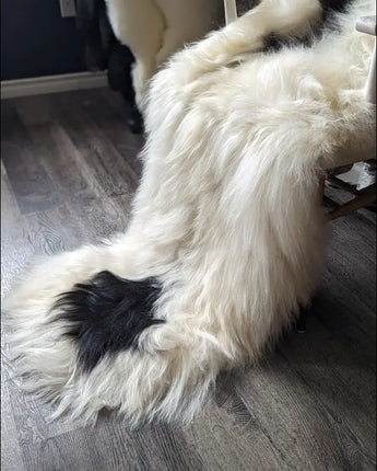 IceD #2 ❤️ 77’ x 30’ Natural Spotted Long Wool Icelandic - sheepskin
