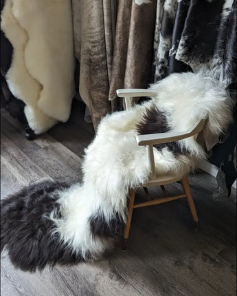 IceD #4 ❤️ 81’ x 30’ Natural Spotted Long Wool Icelandic - sheepskin