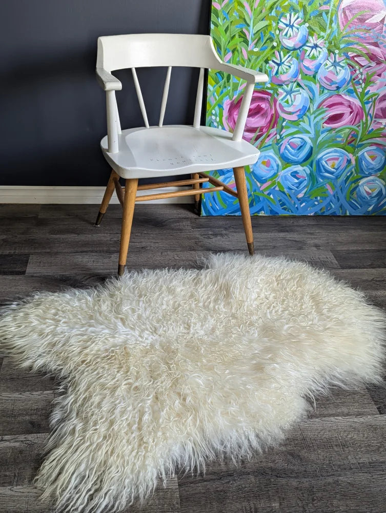 Cream-colored fluffy long wool icelandic sheepskin rug with curly fibers on dark wood floor natural blacky texture