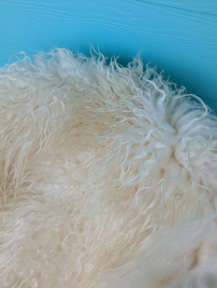 A plush cream-colored icelandic sheepskin rug with long curly natural wool perfect for cozy decor