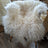 A plush off-white icelandic sheepskins chair with long wool icelandic curly fur and wooden legs