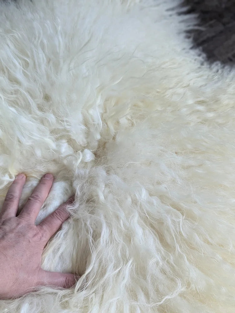 A plush off-white icelandic sheepskin rug with long wool icelandic curly fibers and soft natural texture