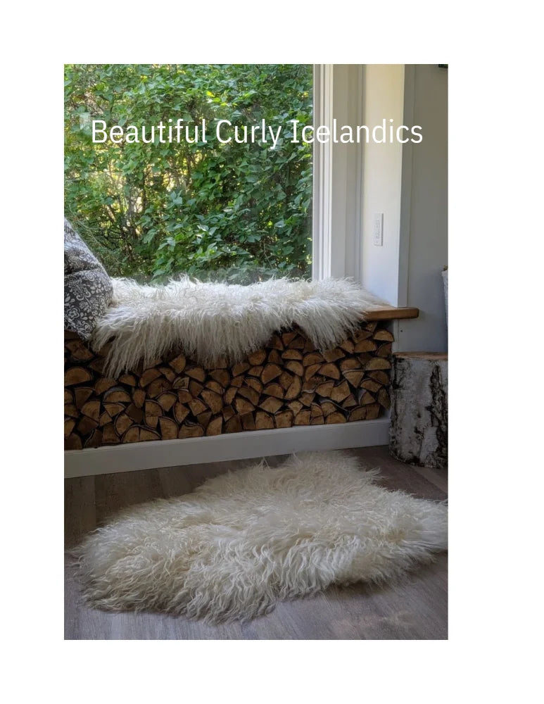 White fluffy icelandic sheepskins with long curly fibers natural long wool icelandic rug for cozy decor