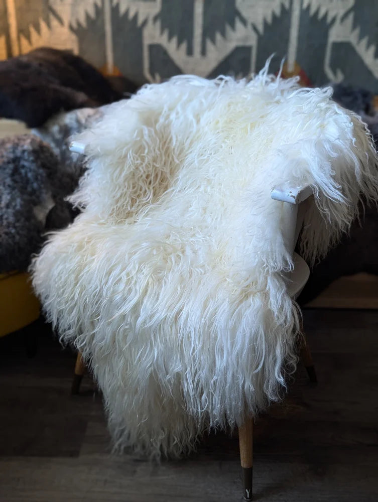A plush off-white long wool icelandic sheepskin throw draped over a chair showcasing natural curly texture