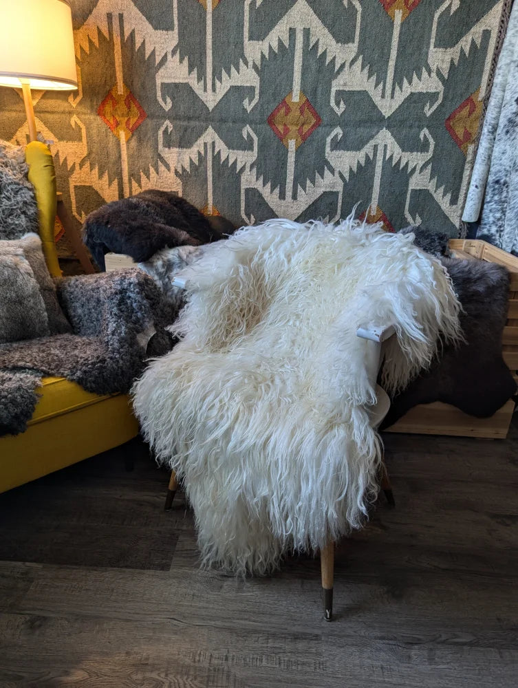 A plush white long wool icelandic sheepskin throw draped over a chair showcasing natural curly texture