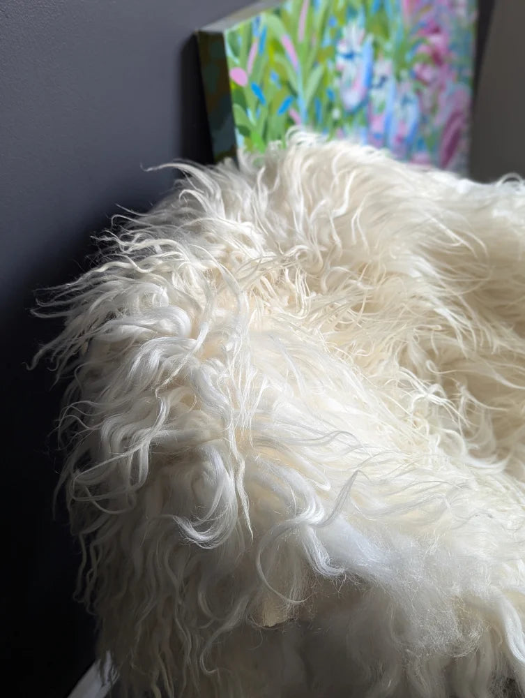 A plush off-white icelandic sheepskin throw with long curly natural wool fibers perfect for cozy decor