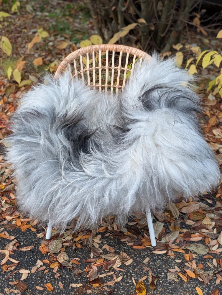 A plush long wool icelandic sheepskin throw in natural grey draped over a wicker chair with white legs