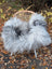 A plush long wool icelandic sheepskin throw in natural grey draped over a wicker chair with white legs
