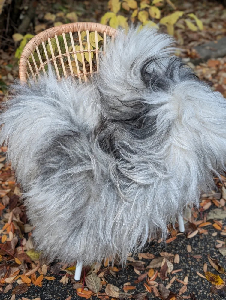 Fluffy natural grey icelandic sheepskin throw with long wool draped over a wicker chair for cozy comfort