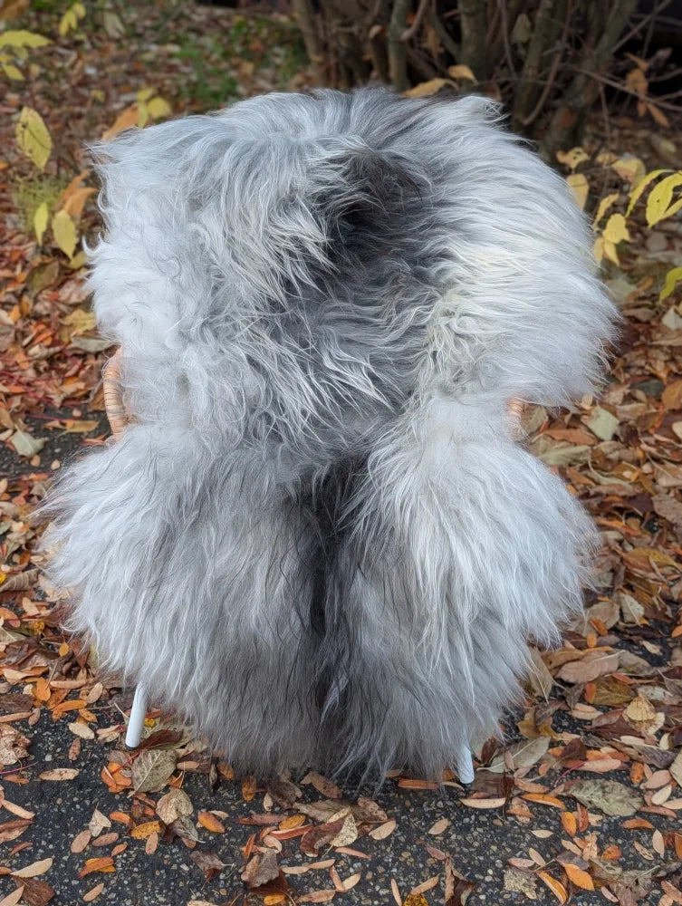 Fluffy natural grey icelandic sheepskin rug with long wool draped over a chair for cozy decor