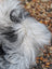 A fluffy long-haired dog with white and black fur lying on a massive icelandic sheepskin natural grey long wool rug