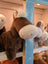 A large size plush brown horse pony with white muzzle and mane made of soft fabric named jorge the pony