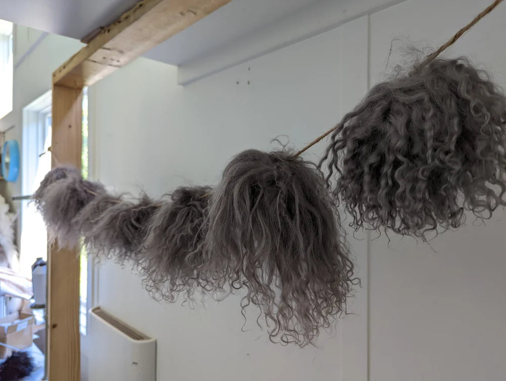 Gray curly hair garland with mushroom sheepskin pom poms on rope