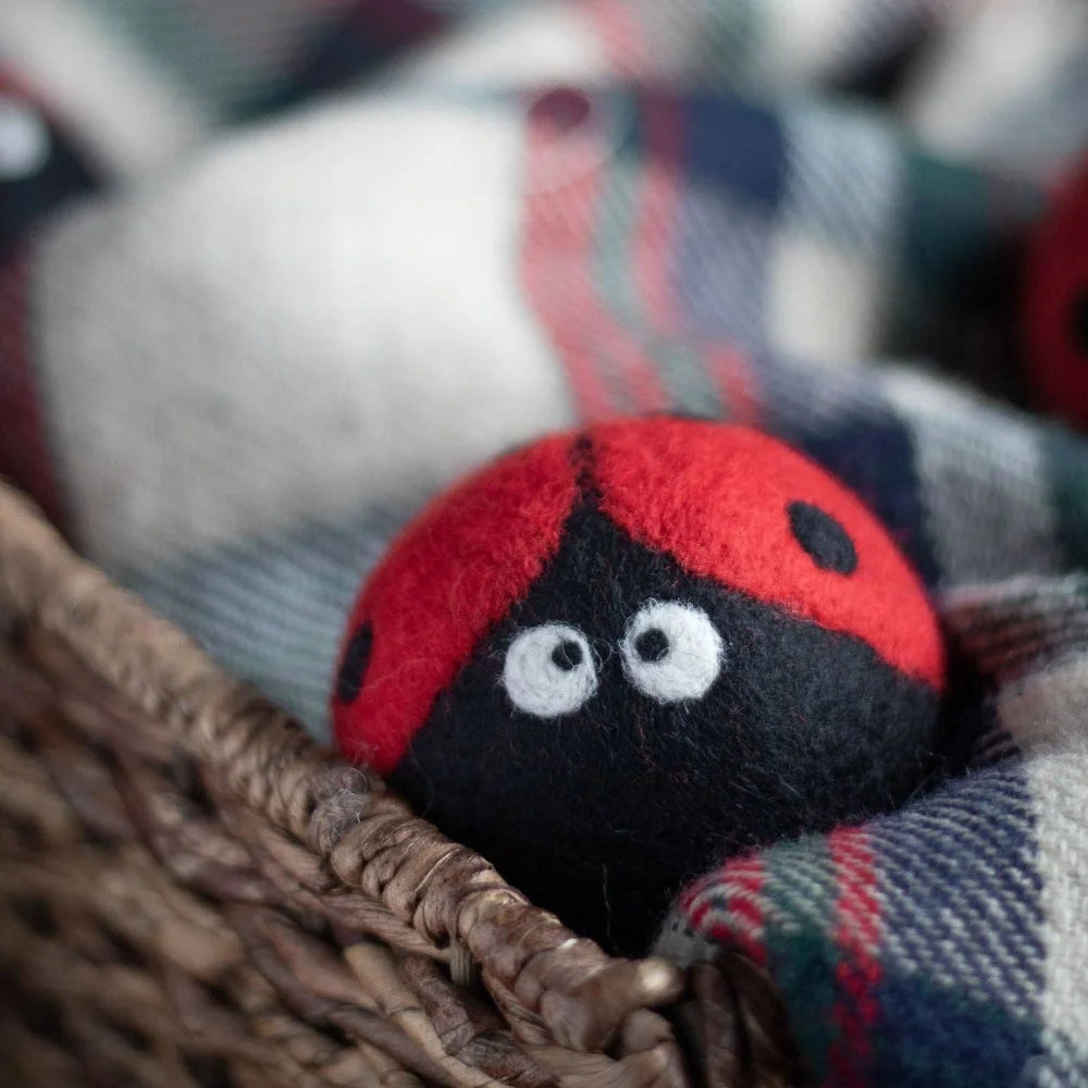 A plush needle-felted ladybug eco dryer ball with a red shell black body and white embroidered eyes from ladybug trio