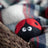 A plush needle-felted ladybug eco dryer ball with a red shell black body and white embroidered eyes from ladybug trio