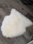 A large off-white merino sheepskin chair pad with a soft fluffy texture on a dark wood floor perfect as chair pads