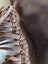 Brown leather braided strap detail on Mojave tassel bag