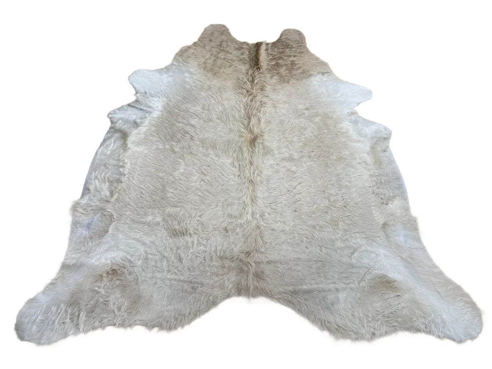 A soft extra large white cowhide rug with rustic charm and unique beige patch and fluffy texture arriving soon