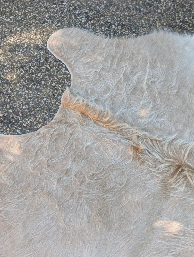 A soft light gray extra large cowhide rug with natural fluffy texture and subtle tan markings showcasing unique characteristics and rustic charm