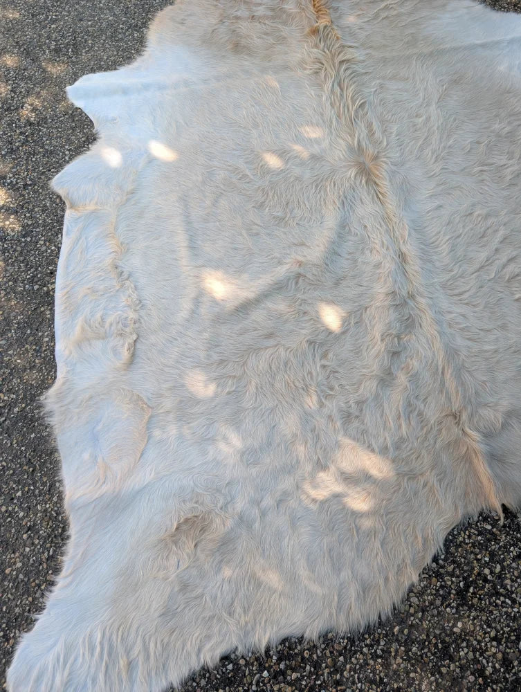 A stunning long hair beige extra large cowhide rug with unique characteristics and rustic charm and soft dense fur