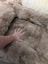 Cozy beige faux fur sheepskin pet bed with fringed plush edges