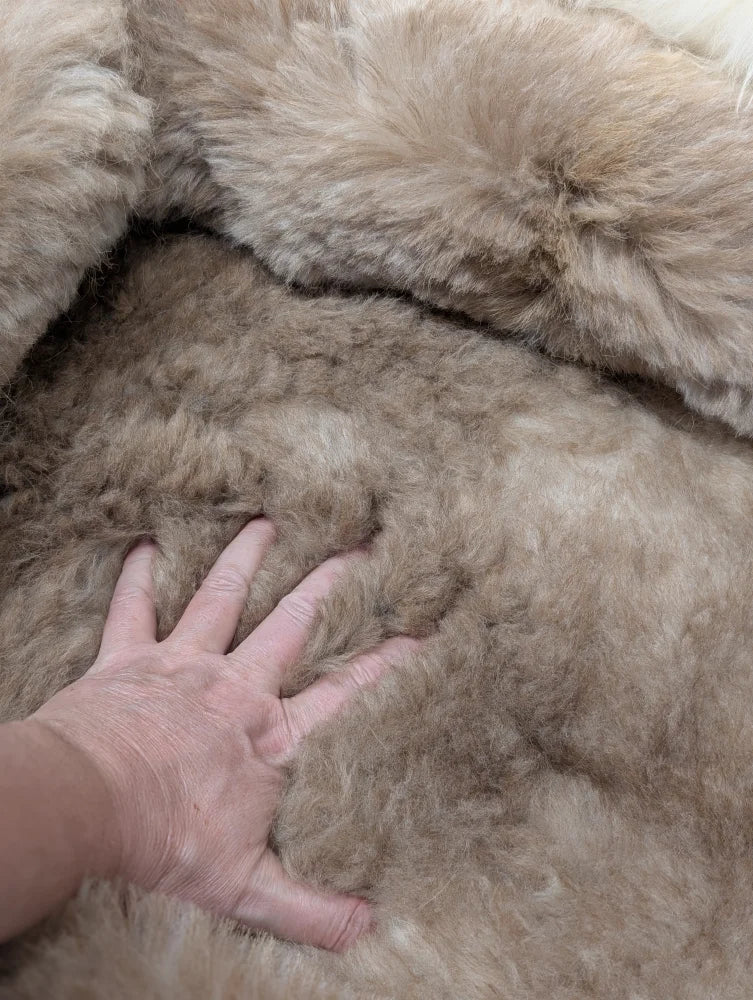 Cozy short wool highland sheepskin pet bed with light beige fur texture
