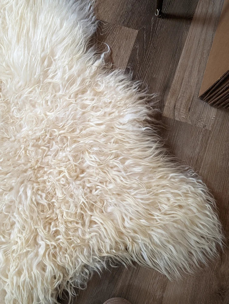 Cream-colored icelandic sheepskins rug with long wool and natural curly texture perfect for cozy decor