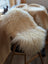 Cream-colored icelandic sheepskins long wool sheepskin throw draped over wooden chair for cozy decor