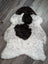 A plush spotted icelandic sheepskin rug with soft white wool and black patches in a natural abstract pattern
