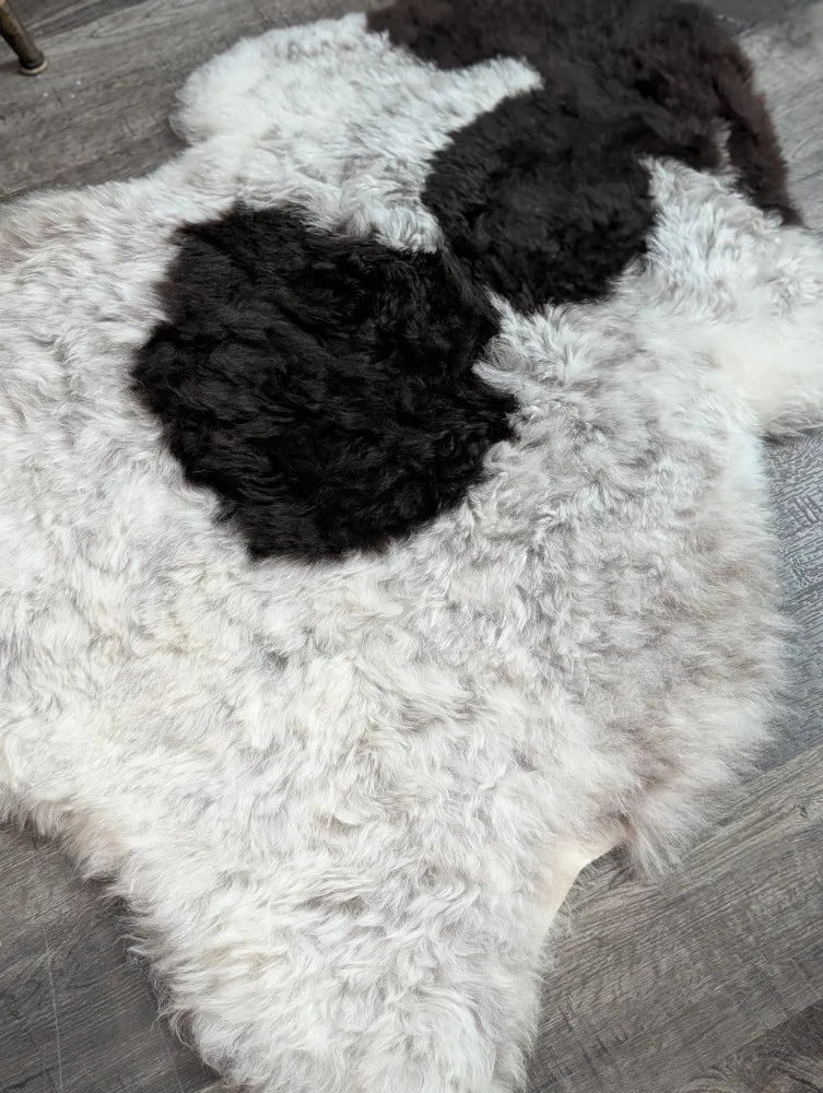 A large soft spotted icelandic sheepskin rug in white and black with curly wool and natural shape