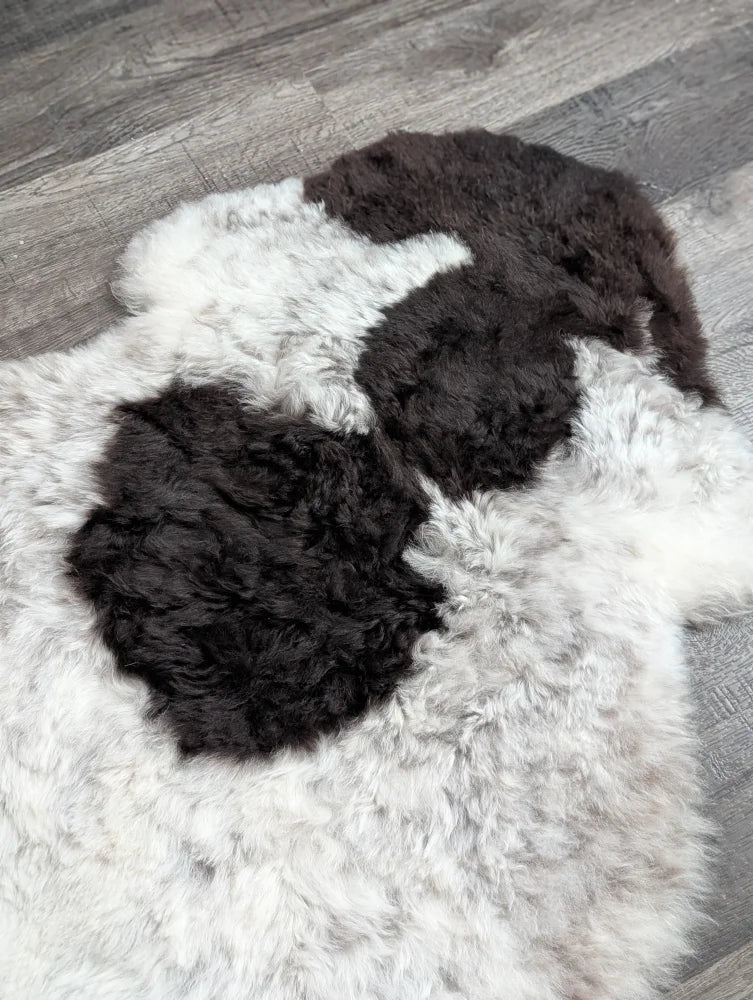 A large soft spotted icelandic sheepskin rug with natural white wool and two dark black patches of fur
