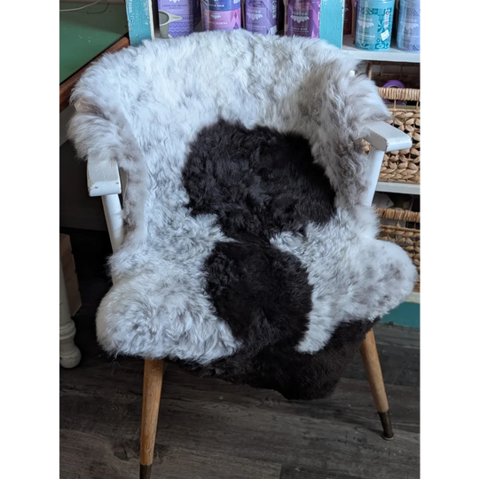 A cozy plush 41 x 31 inch large spotted icelandic sheepskin chair cover with black and white cow print pattern