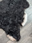 Luv11 43 x 31 large soft blacky icelandic sheepskin rug with short wool and white underfur edges