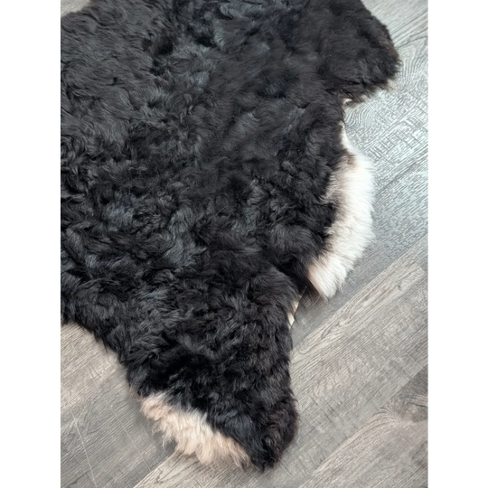Luv11 43 x 31 large soft blacky icelandic sheepskin rug with short wool and white underfur edges