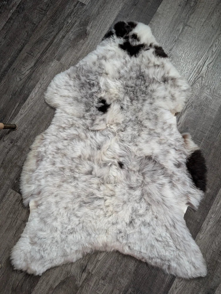 A large soft spotted icelandic sheepskin rug with natural white and black wool texture perfect for cozy spaces