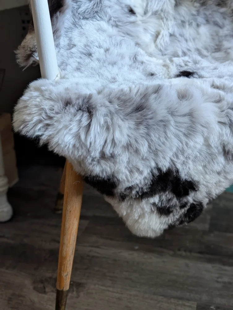A plush large soft icelandic sheepskin rug with a white and black spotted pattern medium spotted icelandic style