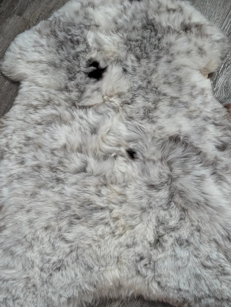 A plush spotted Icelandic sheepskin rug with soft white and gray wool in a large 42 by 29 inch size