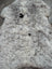 A plush spotted Icelandic sheepskin rug with soft white and gray wool in a large 42 by 29 inch size
