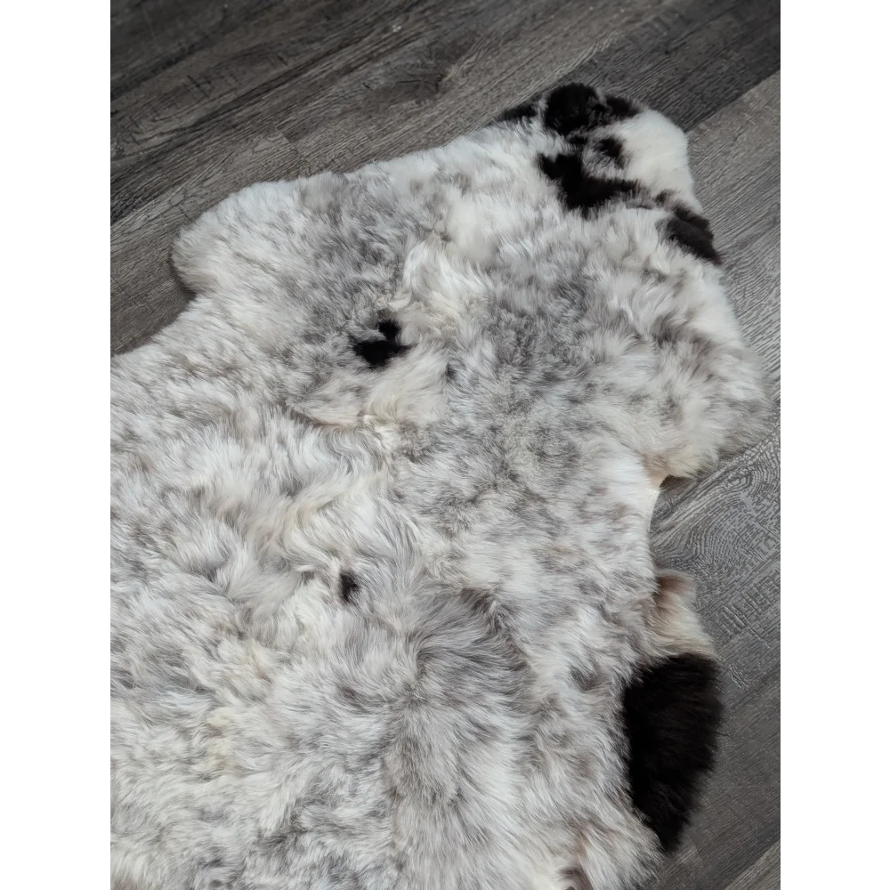 A plush large soft spotted icelandic sheepskin rug in white and black with medium spotted icelandic short wool